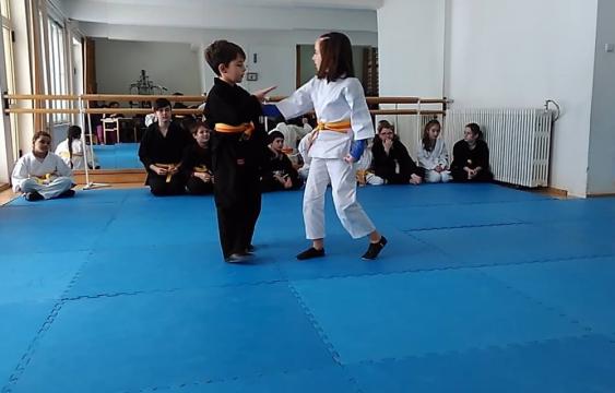 Cursuri Aikido