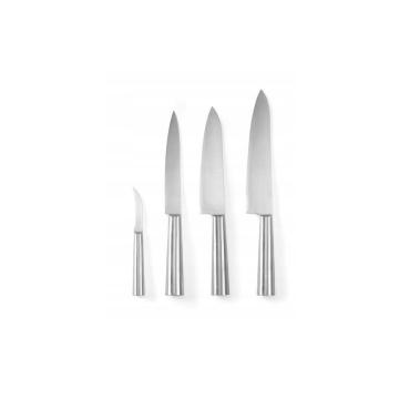 Set 4 cutite profesionale din inox, cutite incluse de la Clever Services SRL