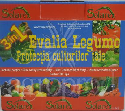 Fungicid Evalia Legume 100L apa(azbany10+difcor5+aminofeed)