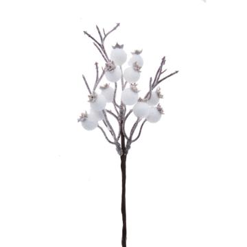 Decoratiuni Crengute fructe padure albe 25cm S/10 de la Distinctiv Store Srl