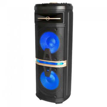 Boxa portabila 2x10 inch/25 cm iluminata 120W RMS