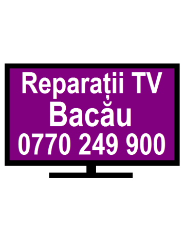Reparatii TV Bacau de la Domino Service Srl