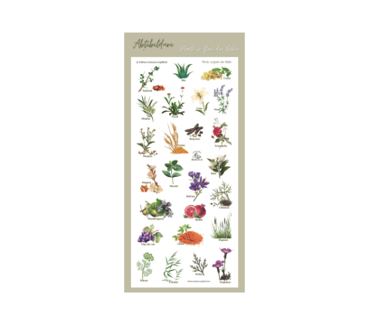 Abtibilduri tematica biblica - Plante si fructe din Biblie de la Comoara Copilariei Srl