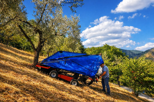 Utilaj autopropulsat cu umbrela colectoare recoltat alune de la Ramsa Mach Distribution Srl