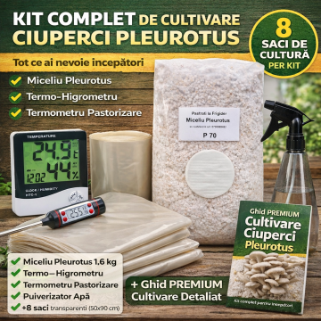 Kit pleurotus complet pentru incepatori de la Labreccia Srl