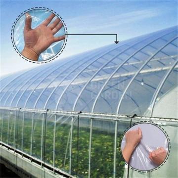 Folie solar Clara 200 microni, latime 10,5 m de la Green Garden Srl