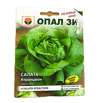 Seminte salata Atraction 2 gr, OpalZi Bulgaria