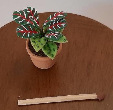 Miniatura papusi 1:12 Planta exotica in ghiveci ceramica